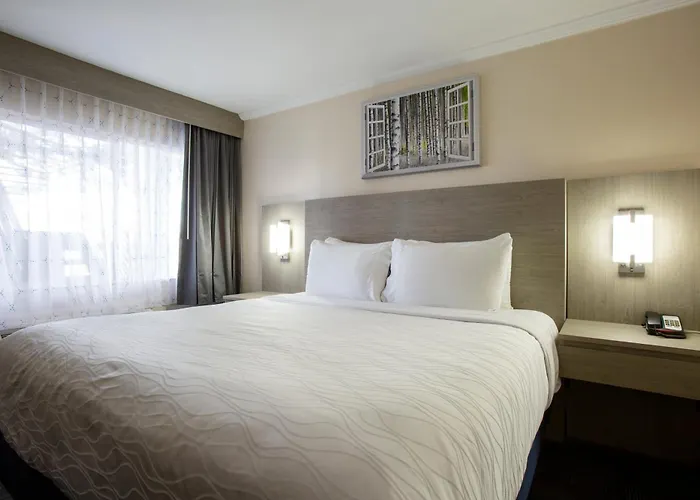Aspen Flagstaff/ Grand Canyon Innsuites 3* Flagstaff