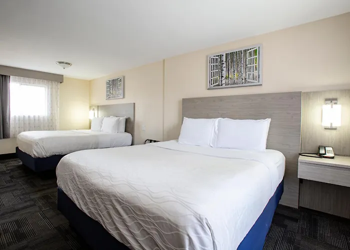 Hotel Aspen Flagstaff/ Grand Canyon Innsuites